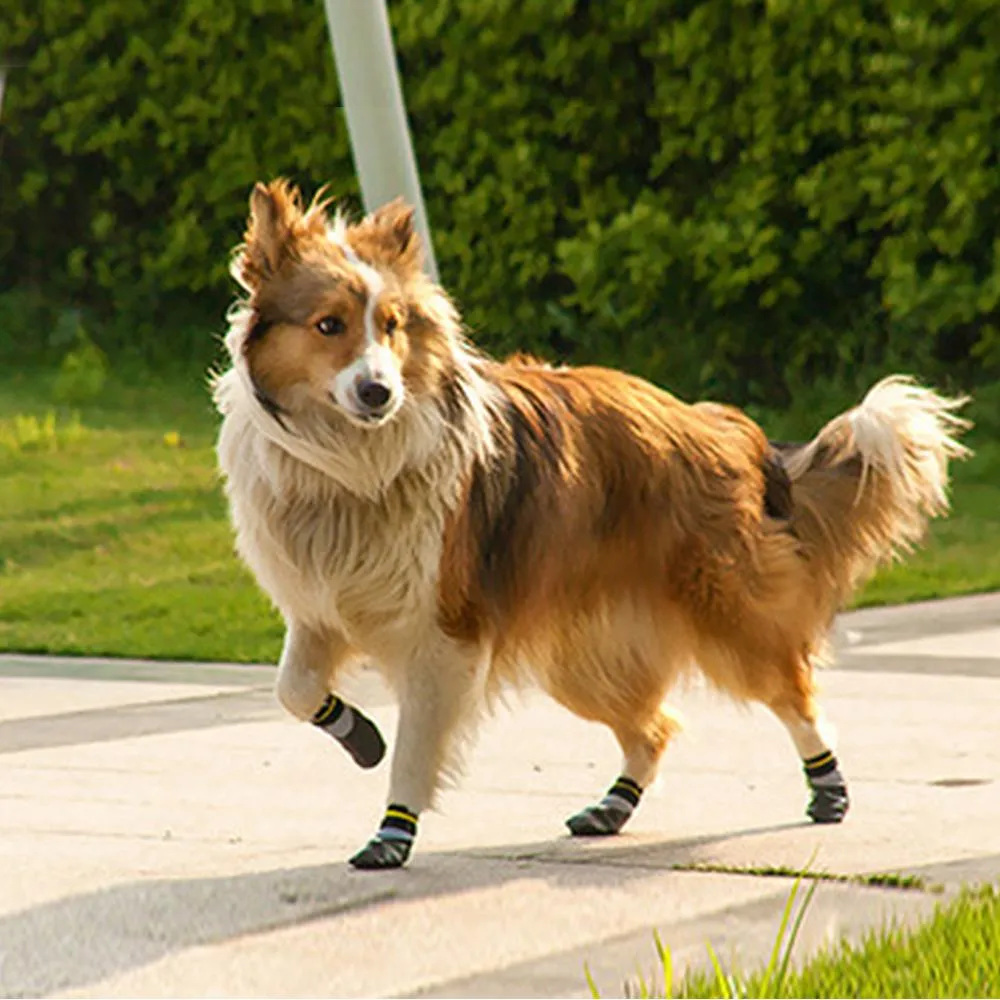 Cotton Waterproof Dog Socks for Outdoor