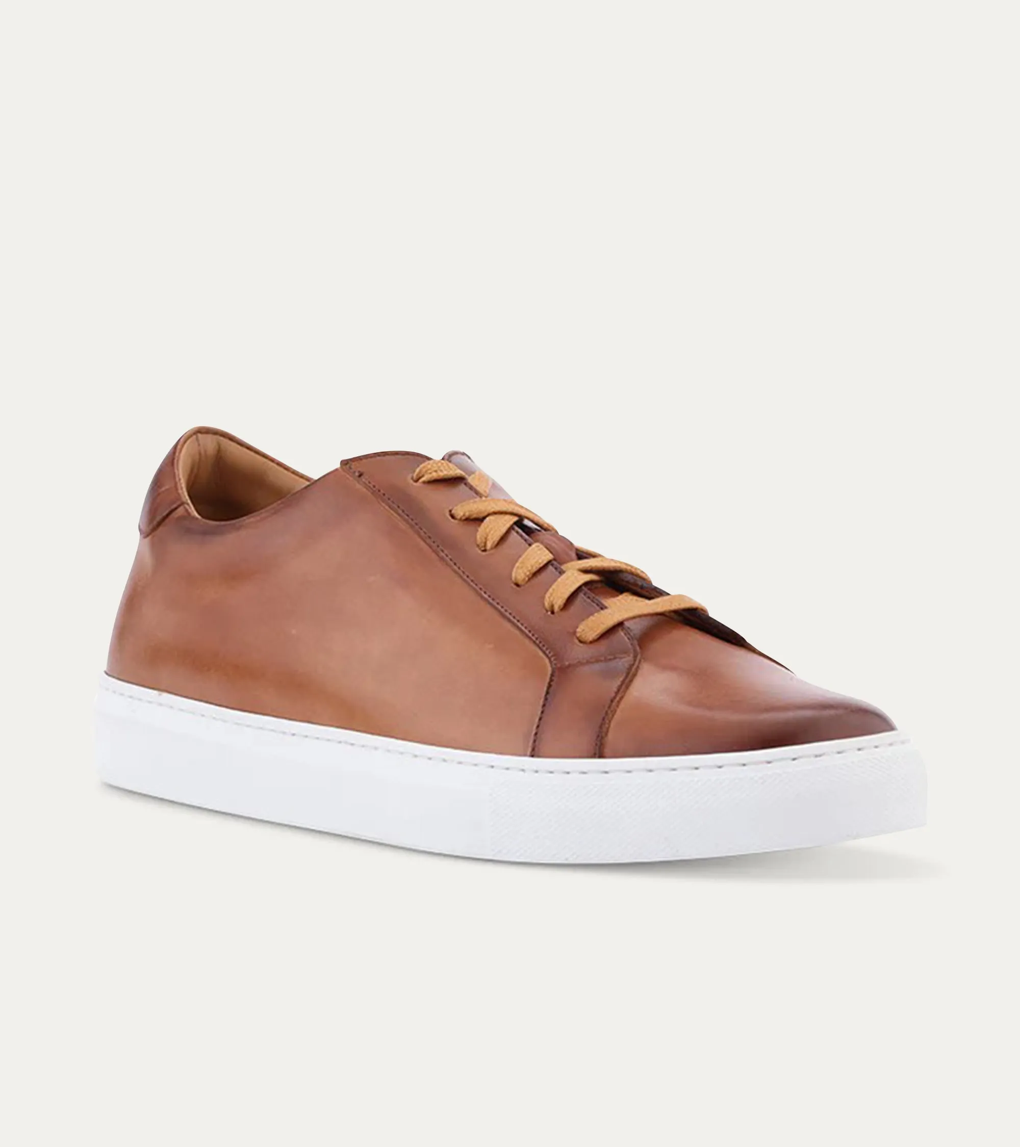 Duke Dress Sneaker Cuoio Nicol