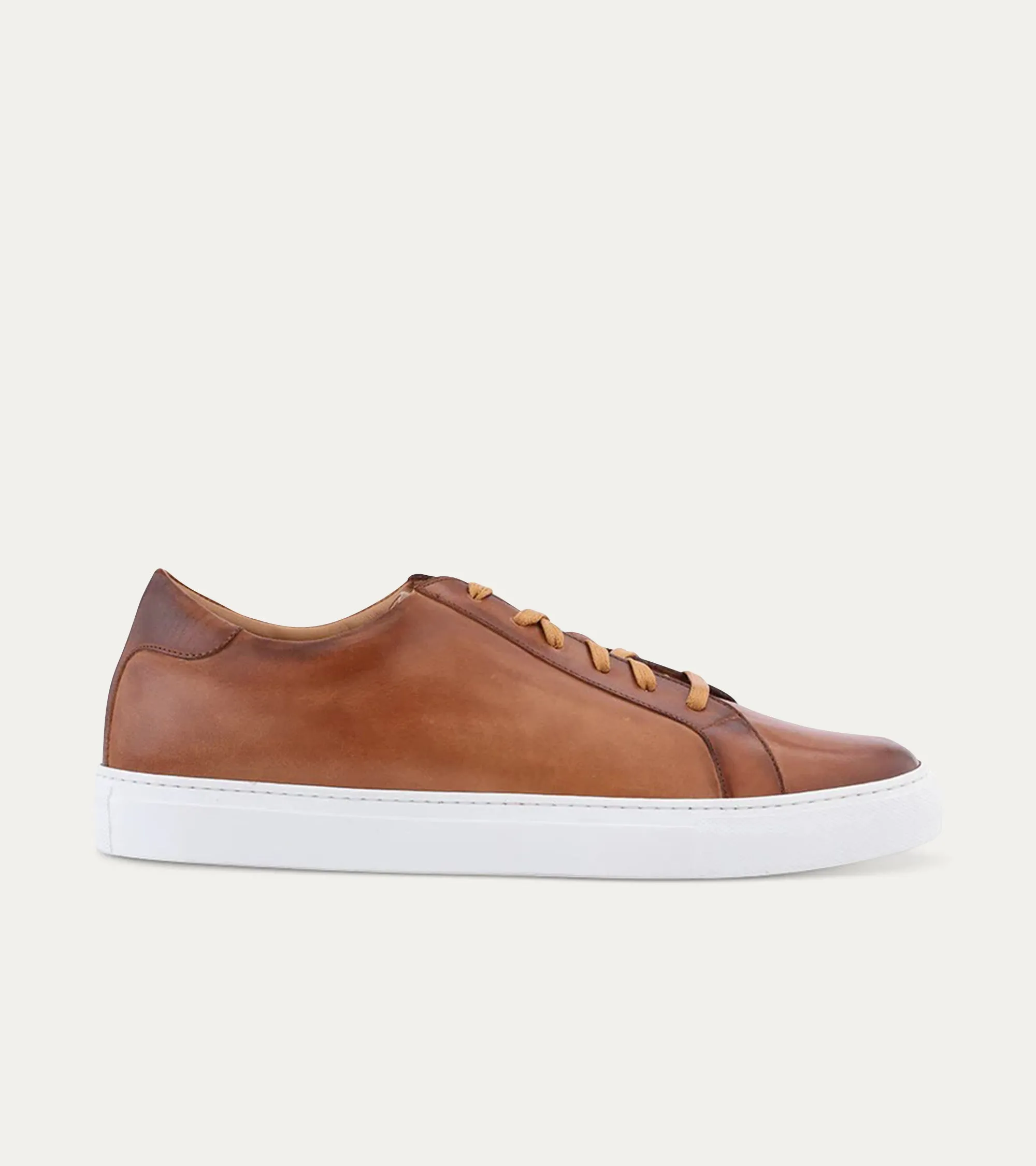 Duke Dress Sneaker Cuoio Nicol